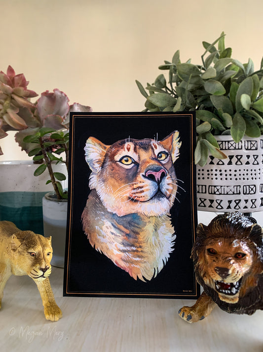 Lioness Portrait Print