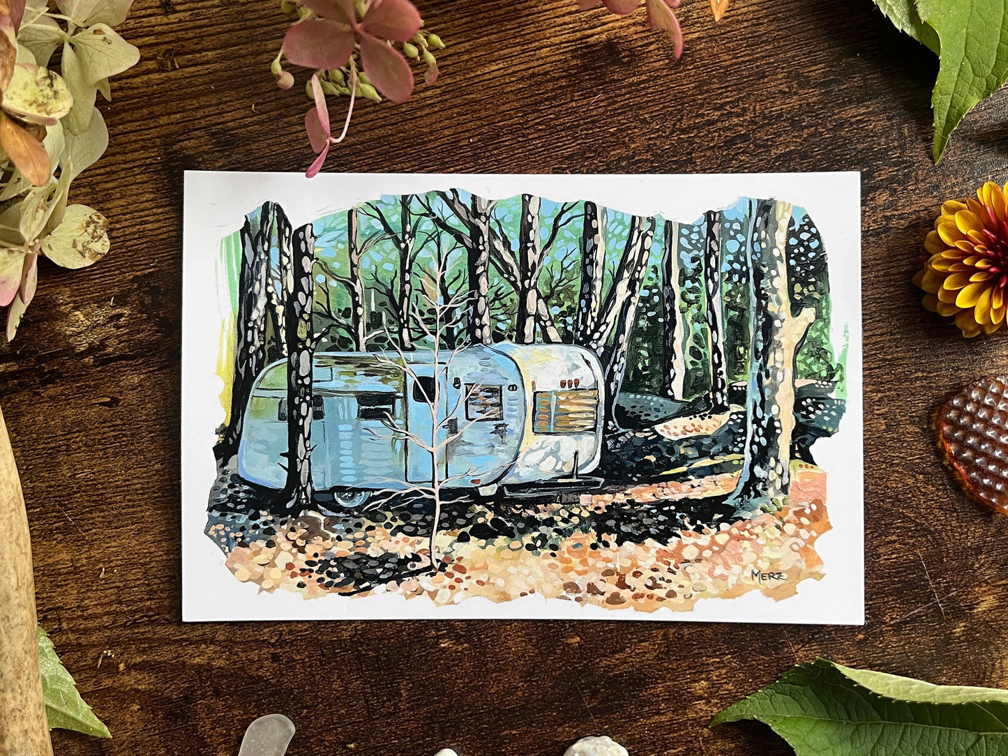 Camper In the Woods Postcard
