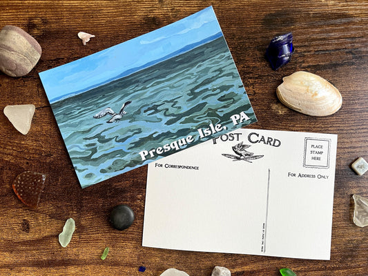 Presque Isle Gull Postcard
