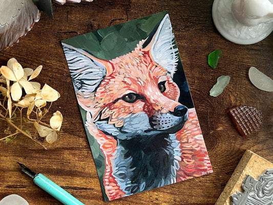 Red Fox Portrait Postcard