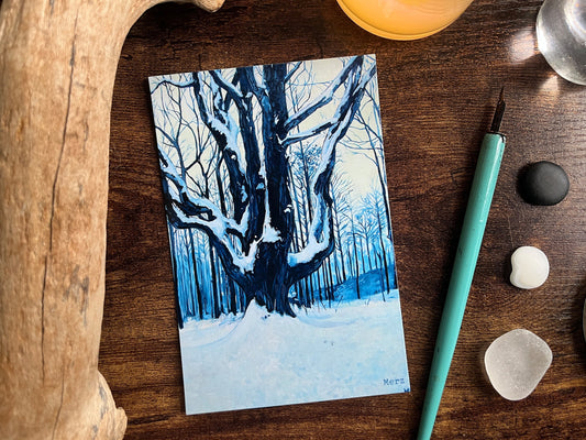 Winter Maple Postcard