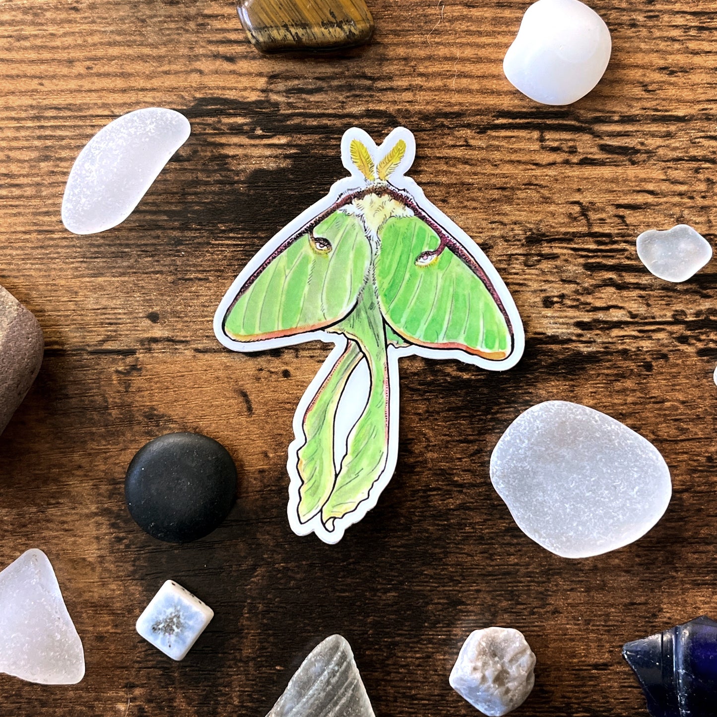 Luna Moth Vinyl Sticker - Weatherproof.