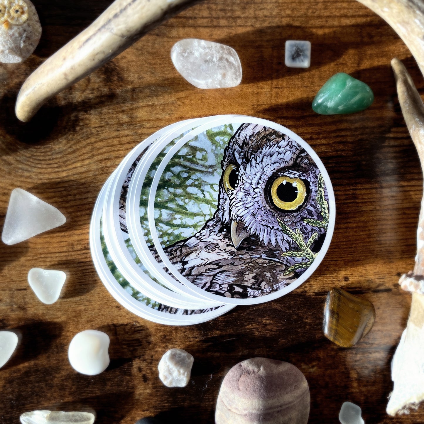 Screech Owl 3" Sticker