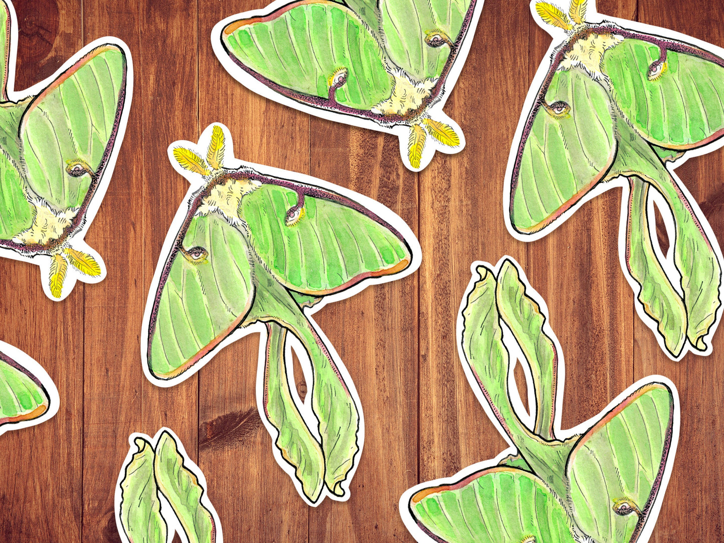 Luna Moth Vinyl Sticker - Weatherproof.