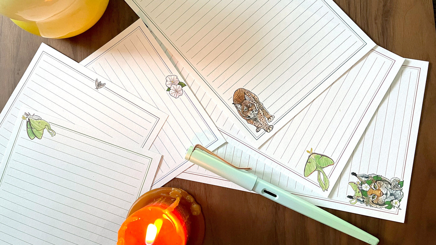 Lynx and Luna Moth Snail Mail Kit