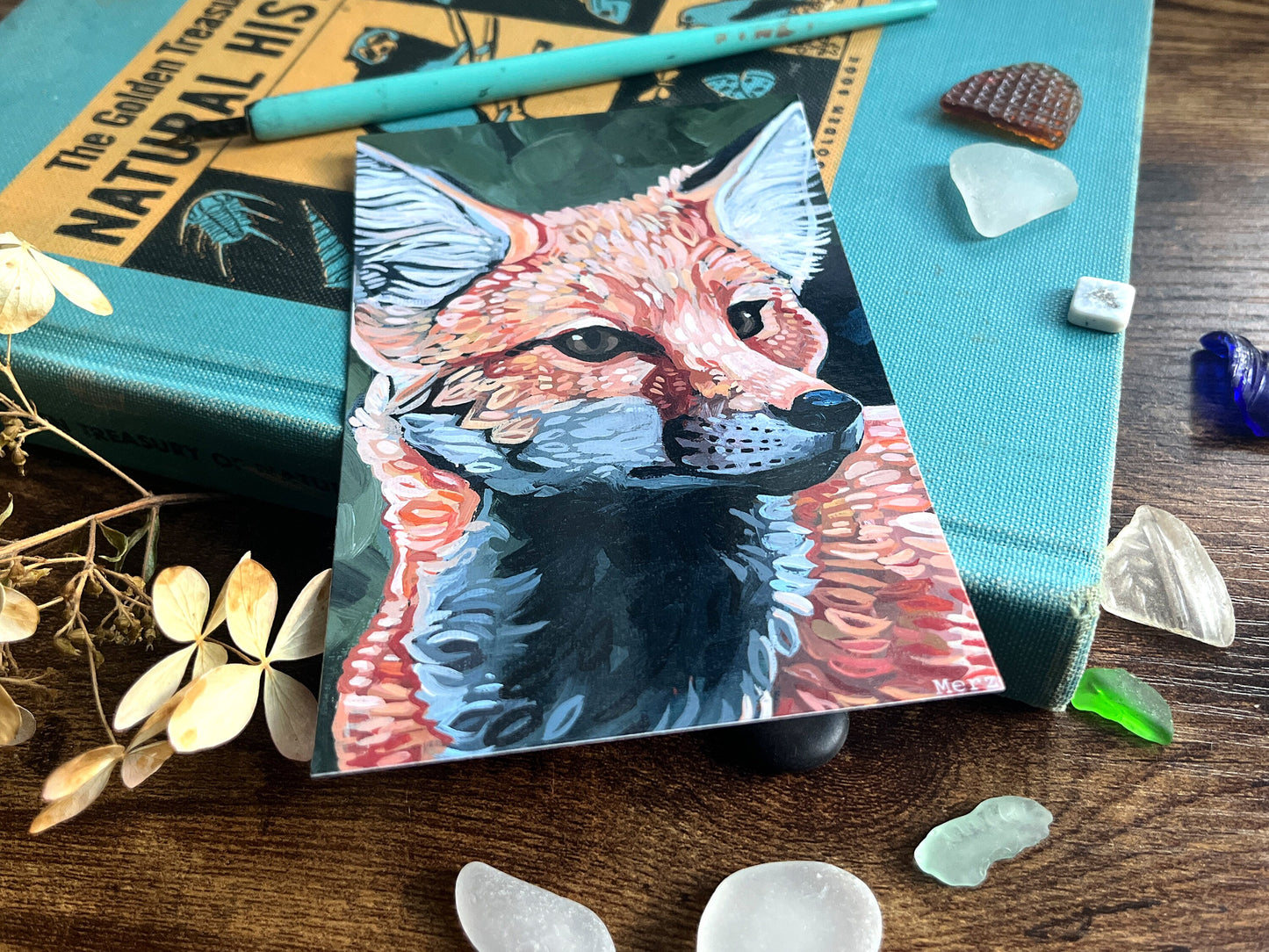 Red Fox Portrait Postcard