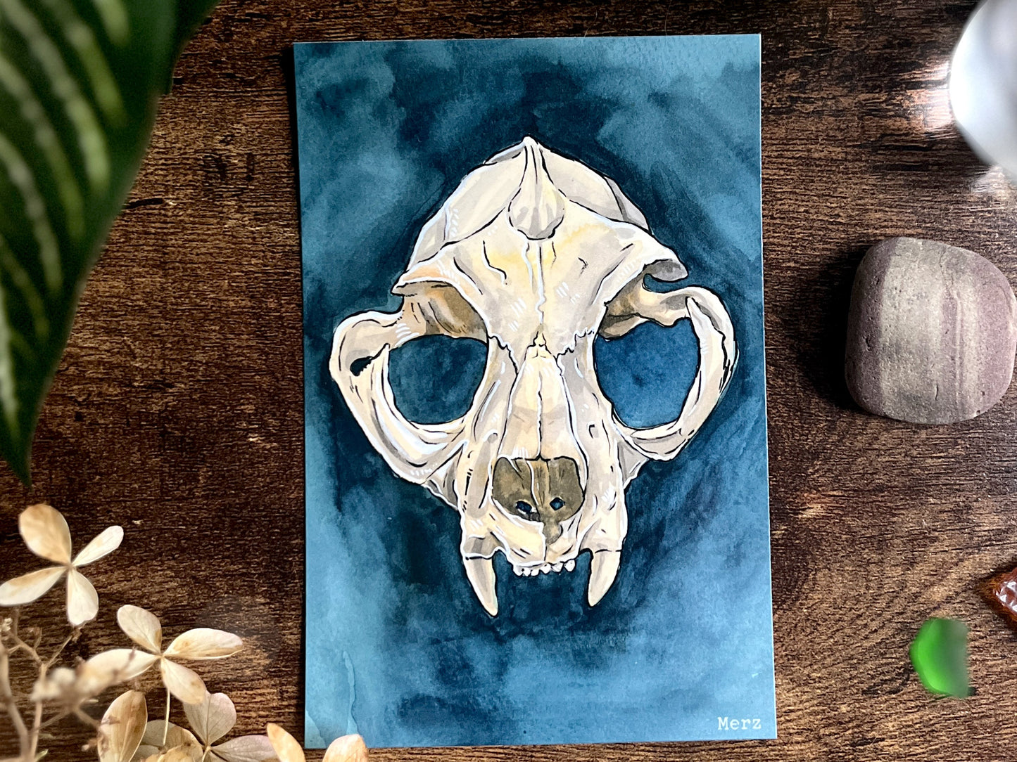 Cat Skull Postcard