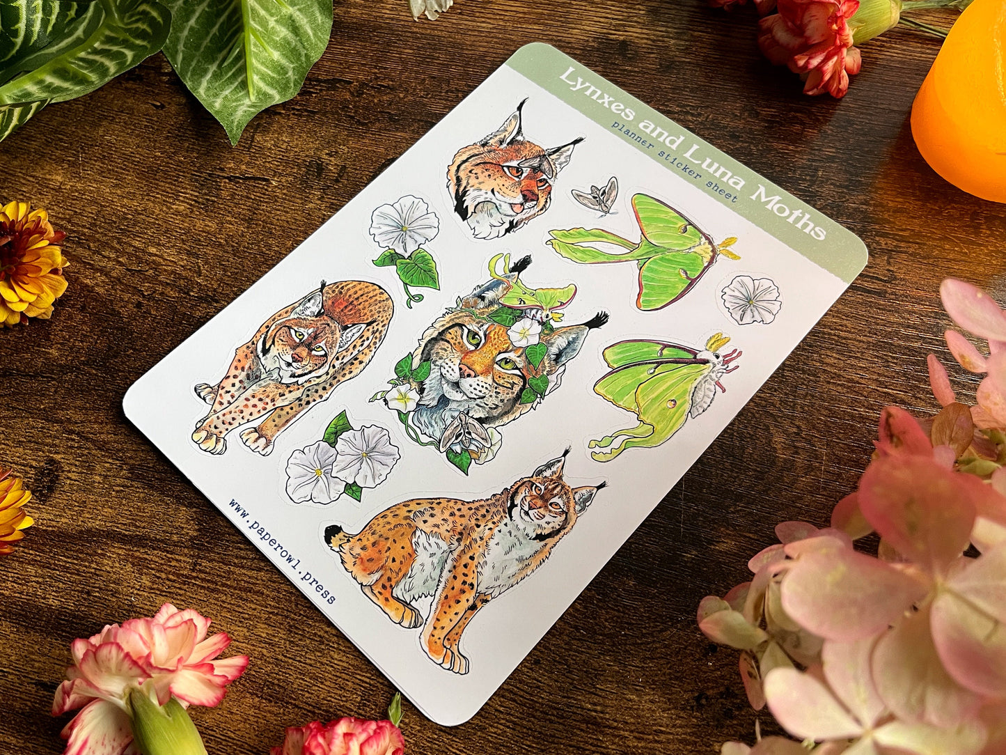 Lynxes and Luna Moths Sticker Sheet