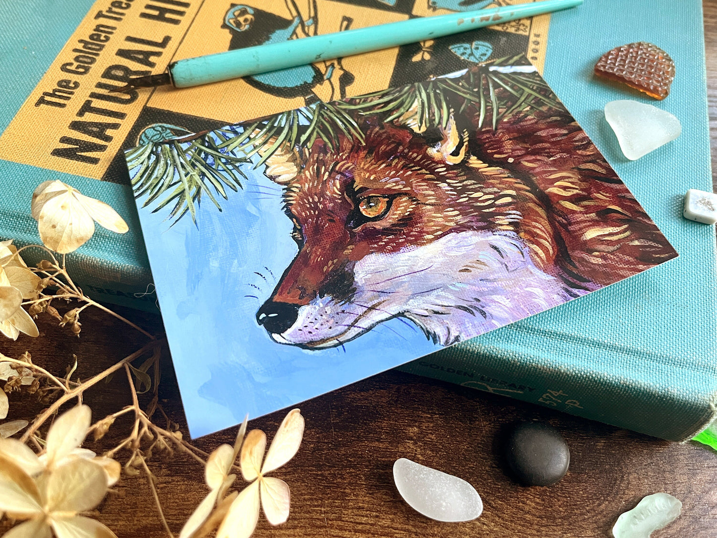 Winter Red Fox and Pine Postcard