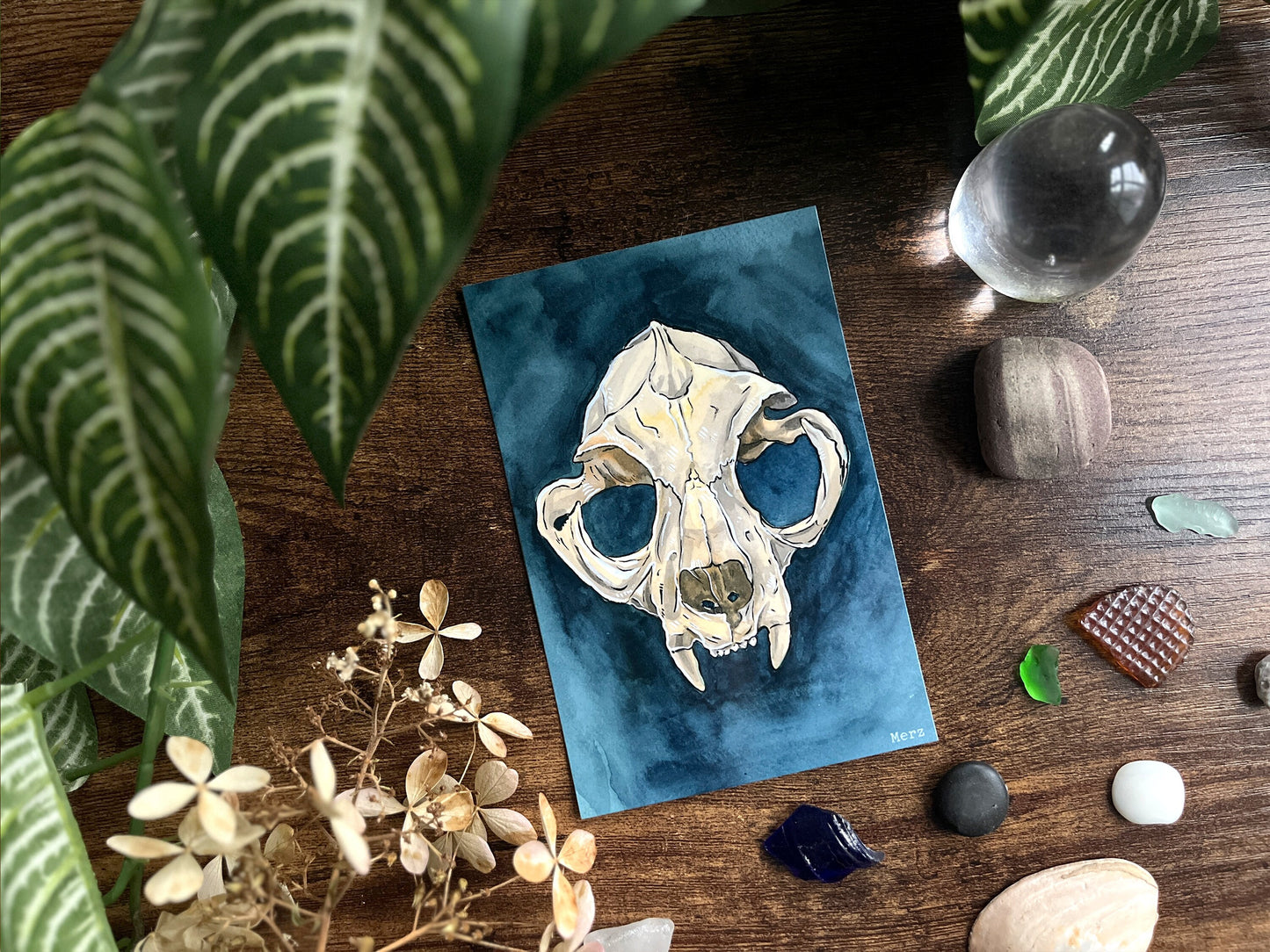 Cat Skull Postcard