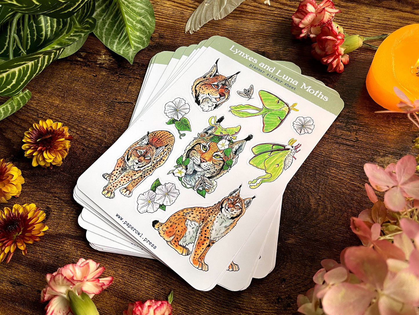 Lynxes and Luna Moths Sticker Sheet